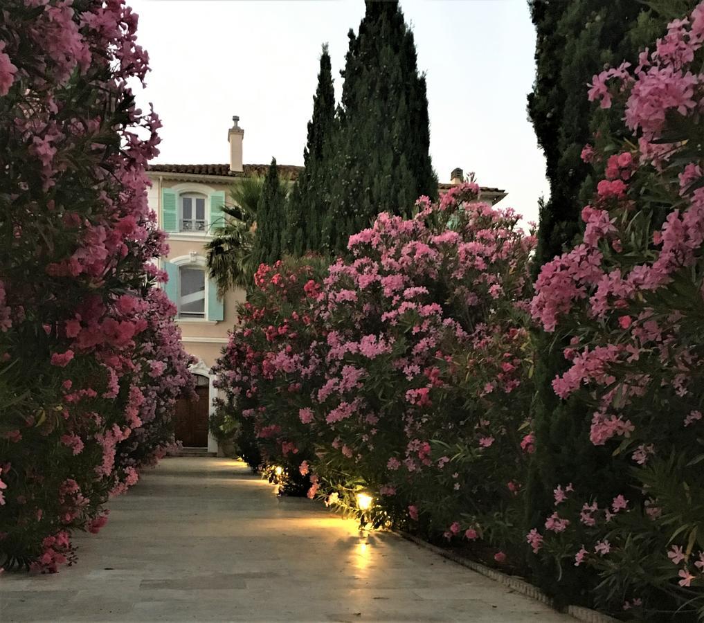 Domaine De L'Aufrene Bed and Breakfast Hyères Eksteriør billede