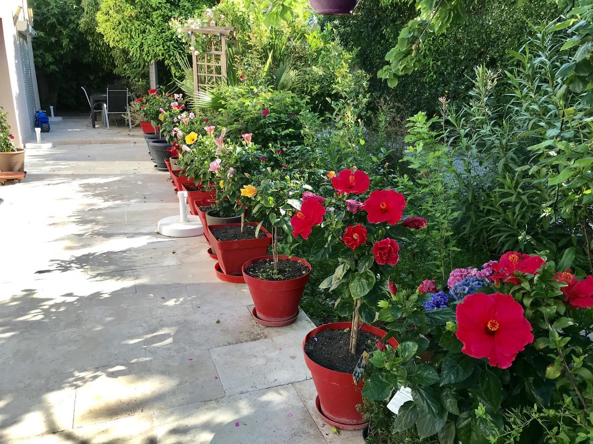 Domaine De L'Aufrene Bed and Breakfast Hyères Eksteriør billede